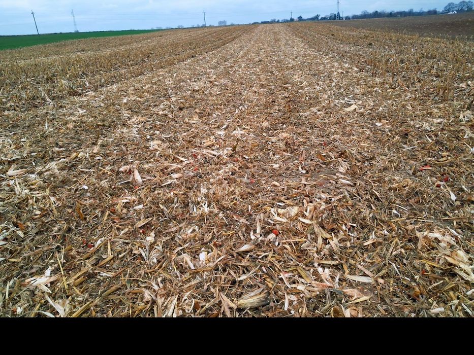 Mulczerowanie, Oranie, Uprawa Pola - Usługi Ciągnikiem