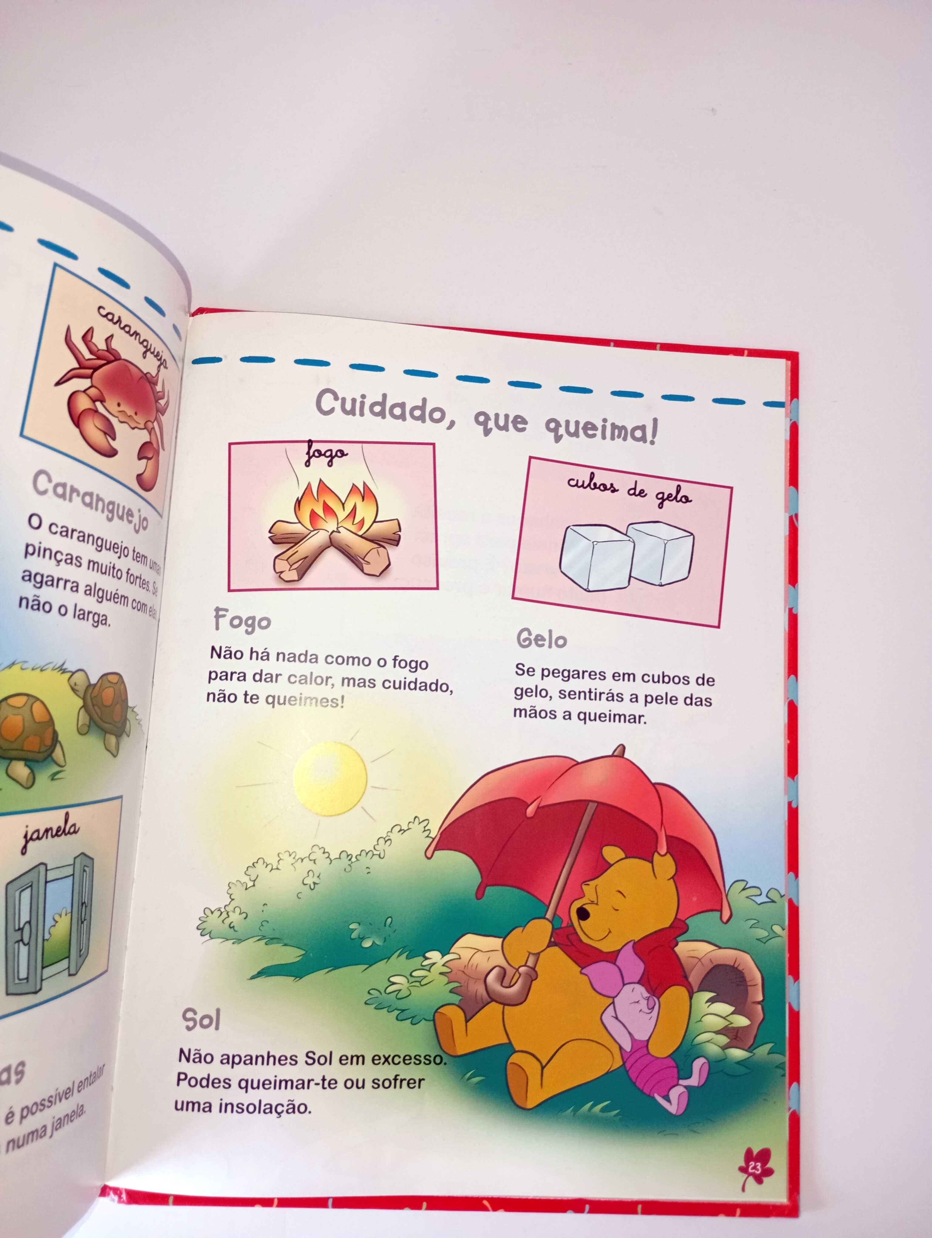 Descobre os Perigos - Winnie the Pooh