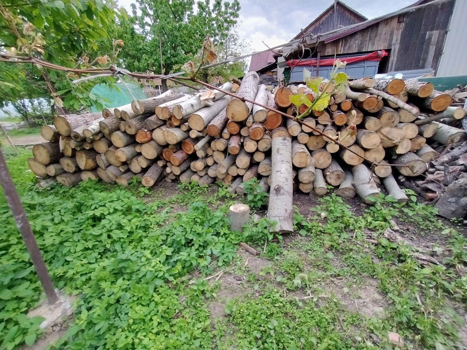 Drzewo metry, suche, opał, twarde, buk, dąb, opał, Dowóz gratis