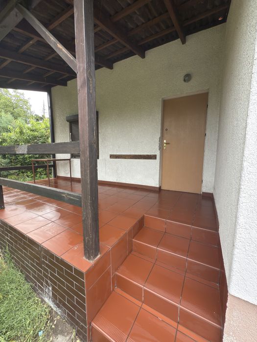 Dzialka ROD im. M. Palacza w Poznaniu