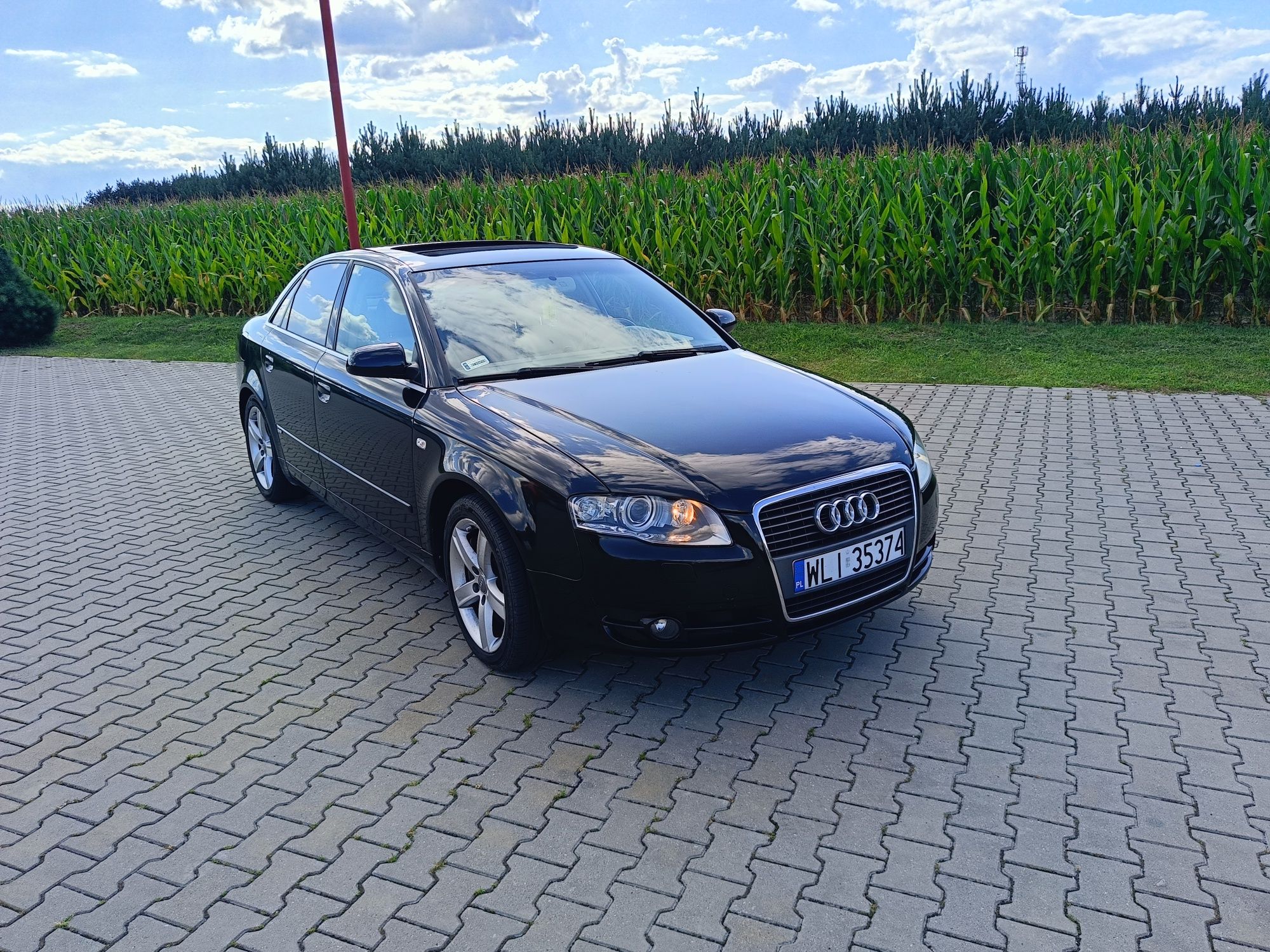 Audi a4 b7 3.0 quattro