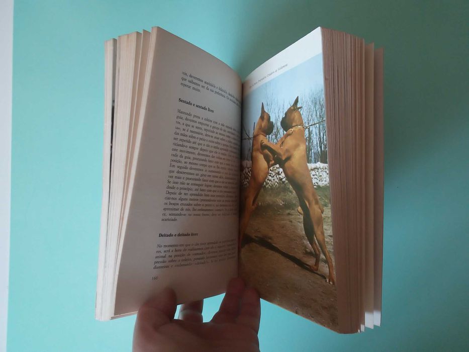 Livro "O Boxer", de Fiorenzo Fiorone