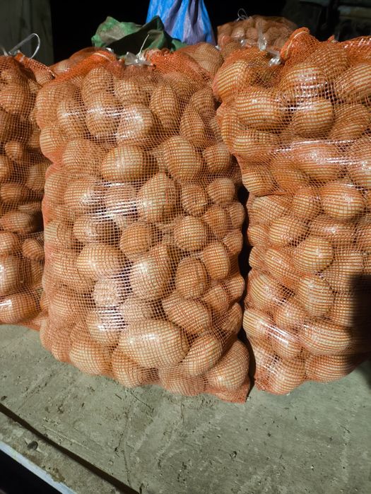 30 kg Ziemniaki jadalne soraya żółte maślane