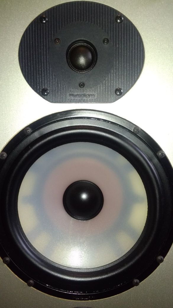 Kolumny podłogowe Paradigm Monitor 5SE MK3