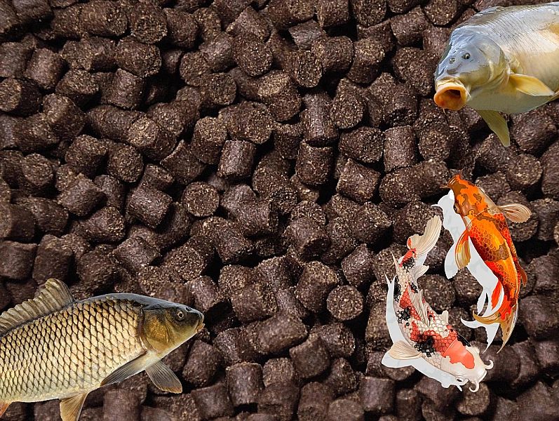 5kg 6mm Aller Bona Float pływająca karma pokarm jesiotr oczko worek