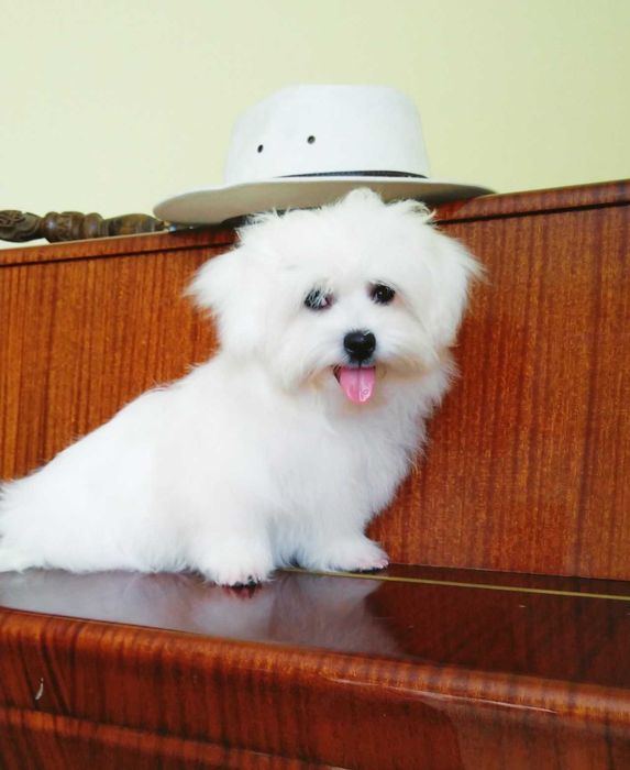 Хлопчик baby face, міні