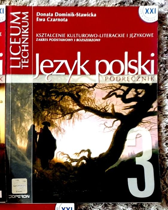 Język polski, kształcenie kulturowo-literackie i językowe podręcznik 3