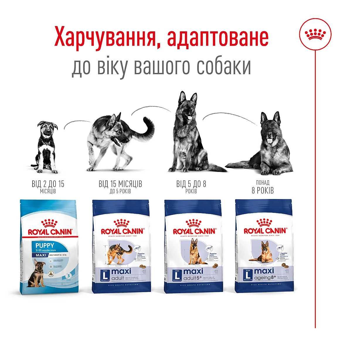 Сухий корм для собак великих порід Royal Canin Maxi Adult, 15 кг