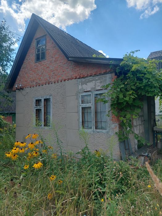 Дача з грубою в передмісті Чернігова