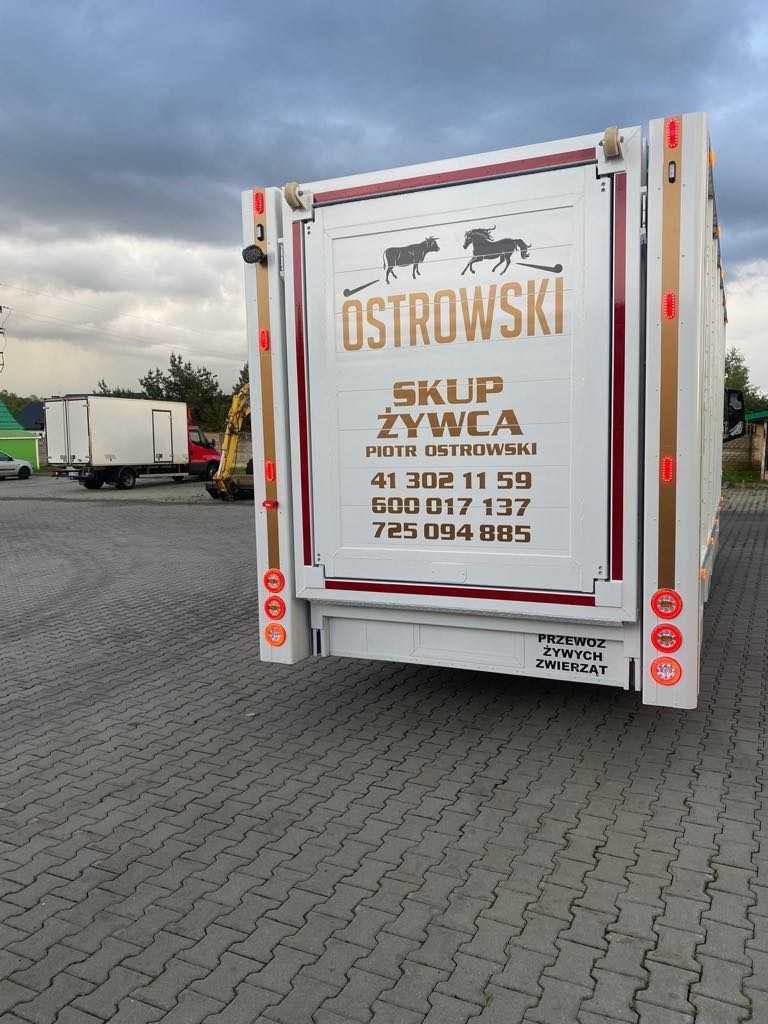 Man TGL 12250 do  przewozu zwierząt
