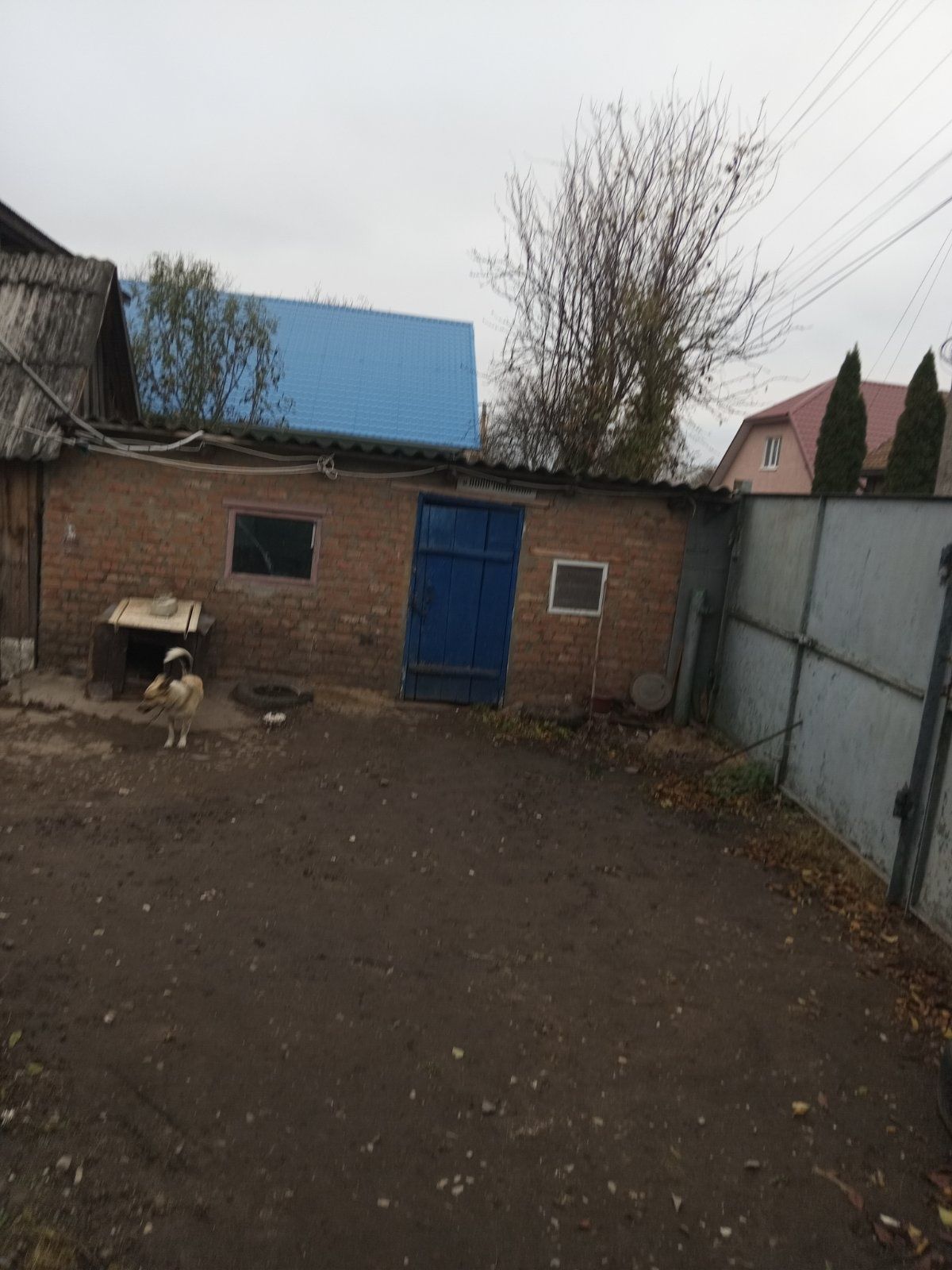 Продам  дом в Путивле