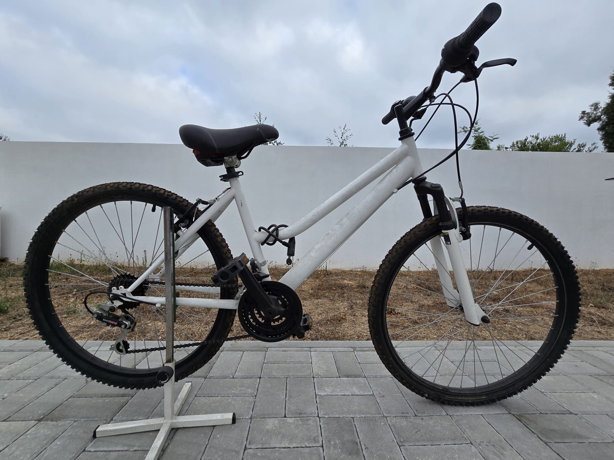 Bicicleta de senhora