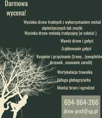 Wycinka Drzew koszenia transport