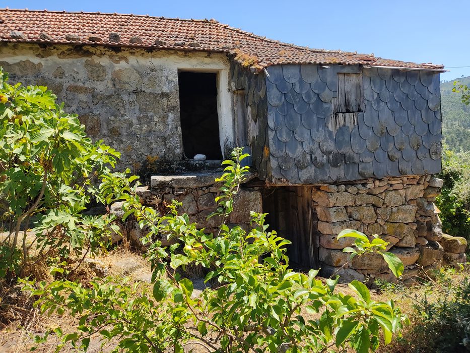 Quintinha rurall