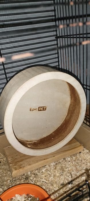 Kołowrotek dla chomika Syryjskiego