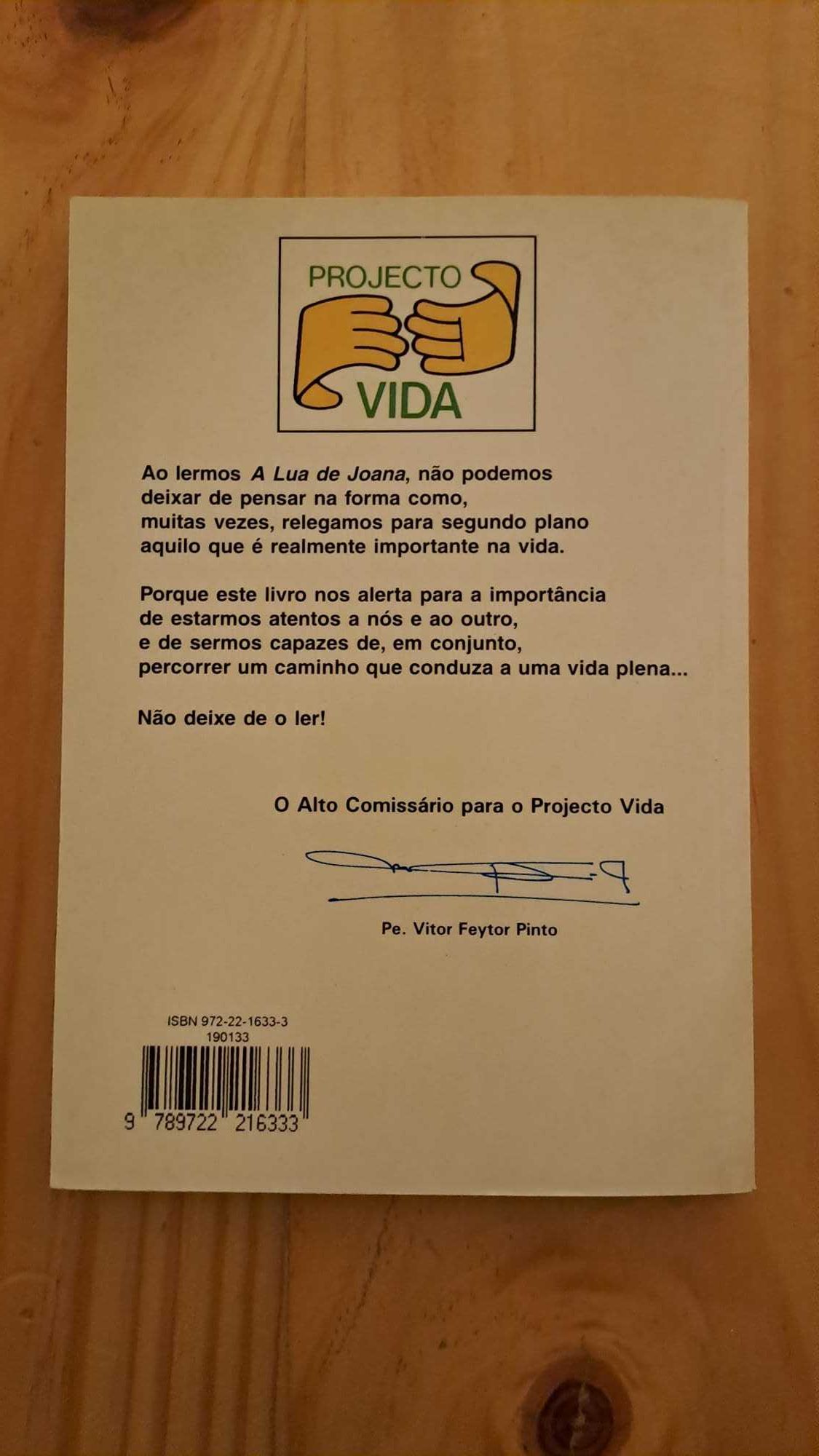 A Lua de Joana de Maria Teresa Maia Gonzalez