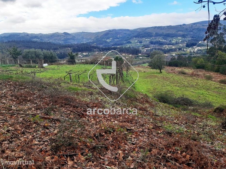 Bouça com 4.950  m2, em S. Cosme e S. Damião, Arcos de Valdevez , 25.0