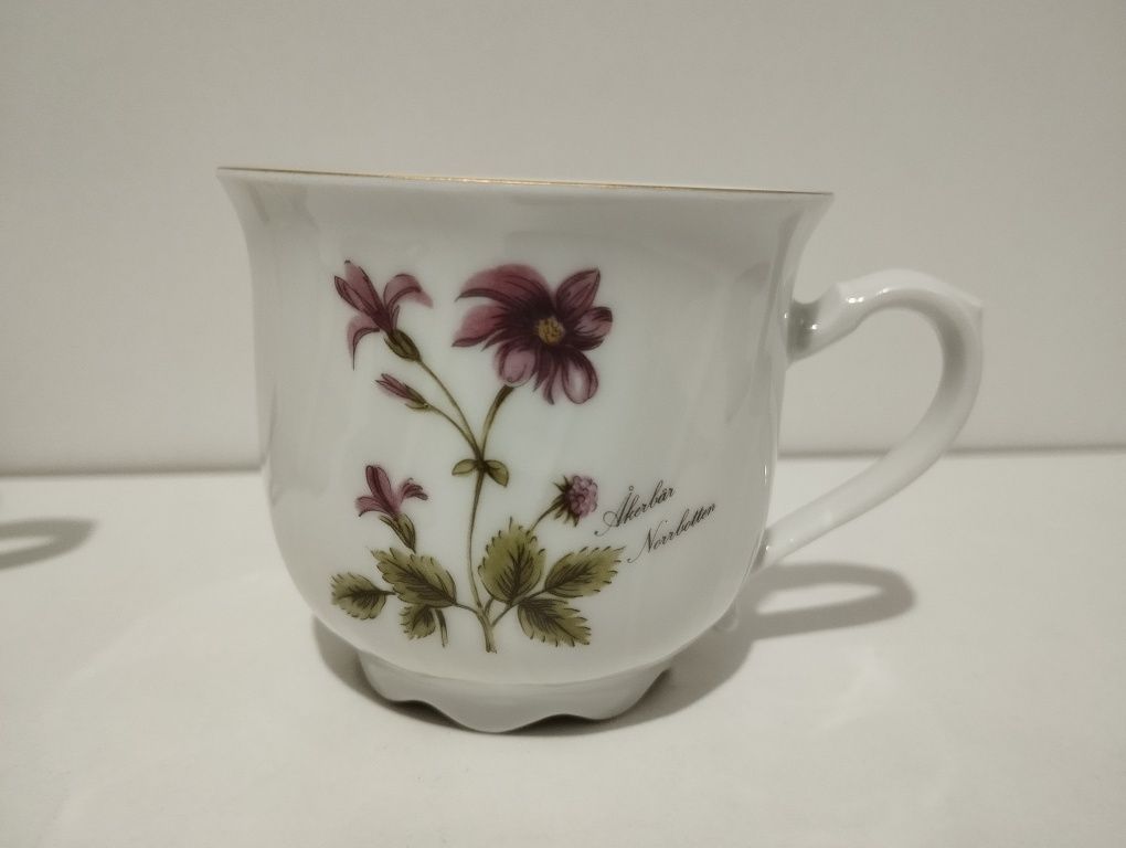Zestaw filiżanek do herbaty, espresso porcelana Bavaria  Regina