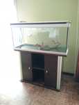 Aquário aquatlantis / terrário com armario e sistema de iluminação