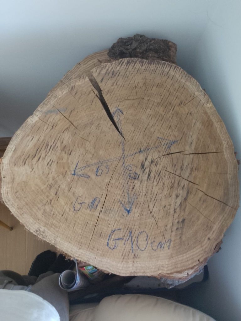Duży plaster drewna dębowego