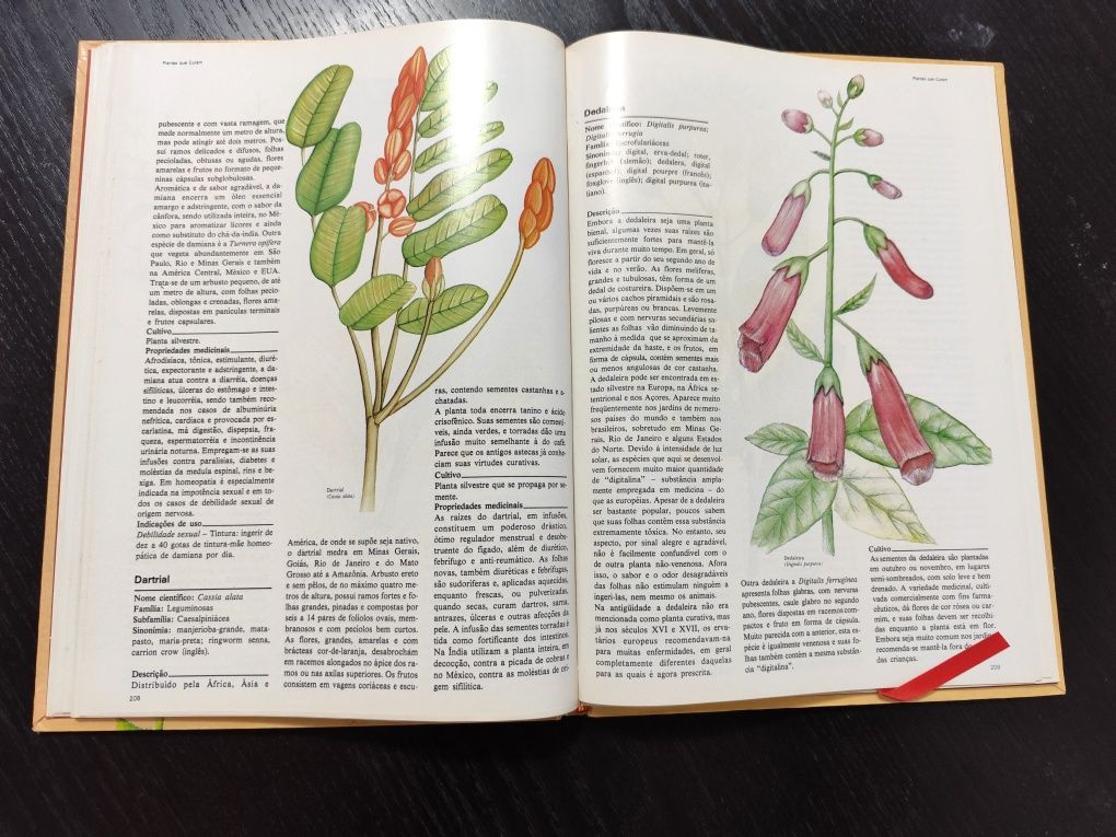 Livros: Plantas que Curam - Coleção completa (4 Volumes)