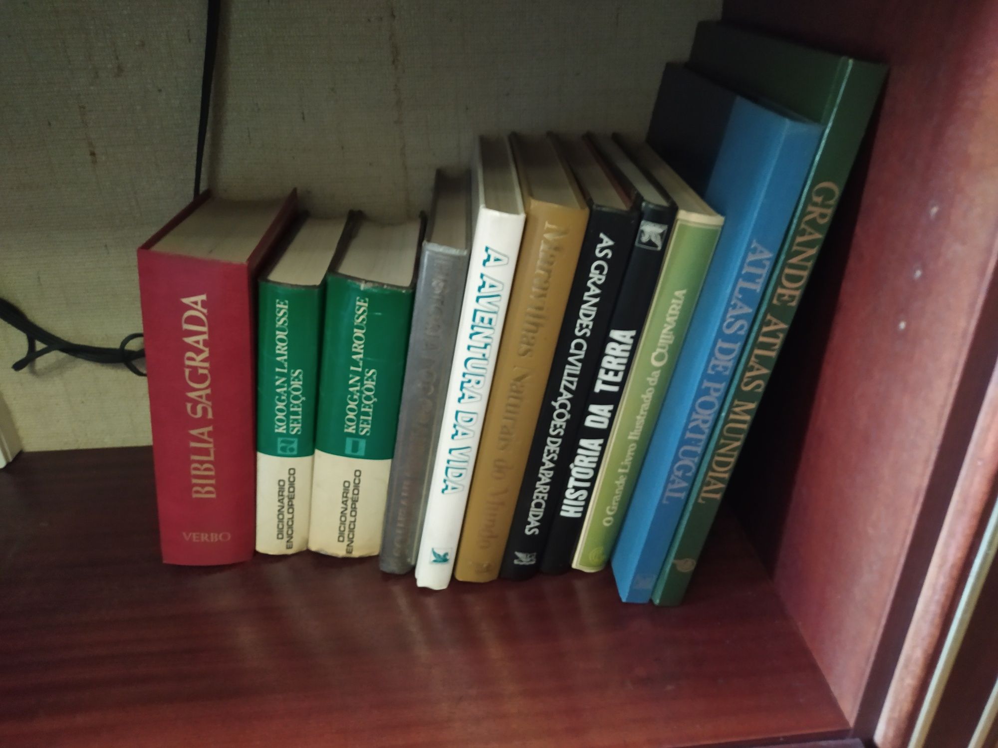 Enciclopédias e vários livros
