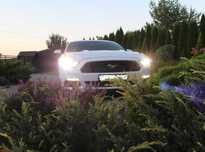 Mustang do Ślubu