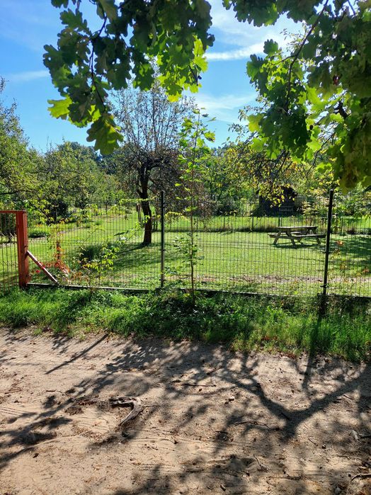 DZIAŁKA Zielona Góra ROD Słowackiego Przylesie