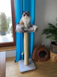Duży drewniany drapak dla kota 115 cm
