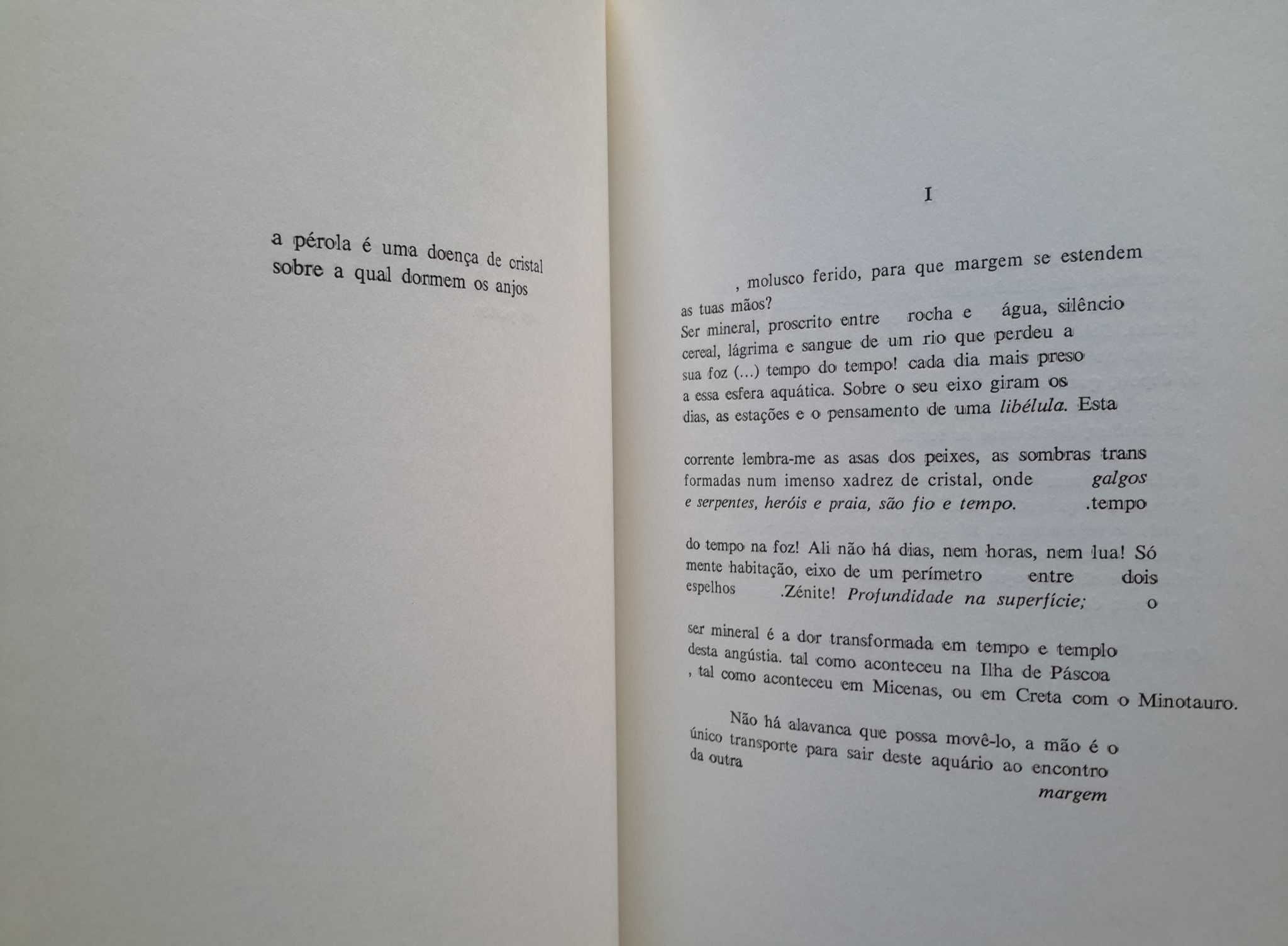 António Júlio Valarinho - Degelo (1.ª edição, 1987)