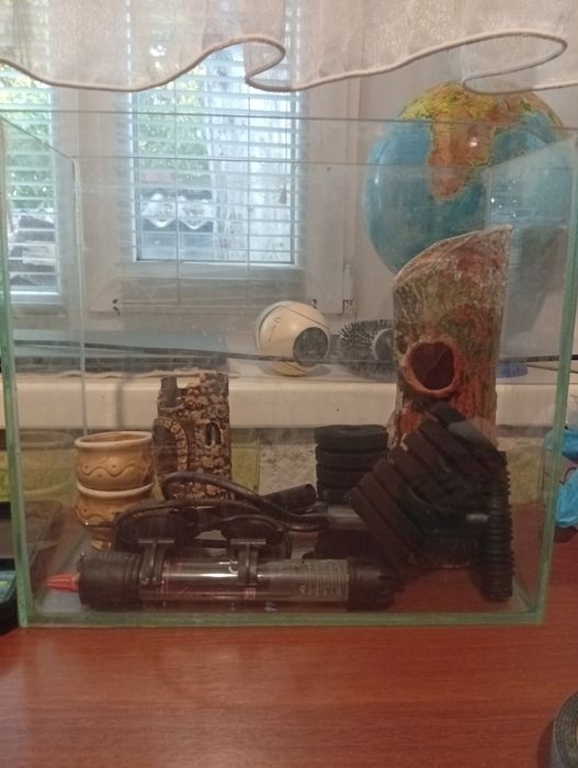 Акваріум в зборі