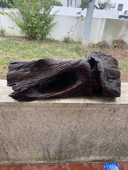 Tronco para aquario