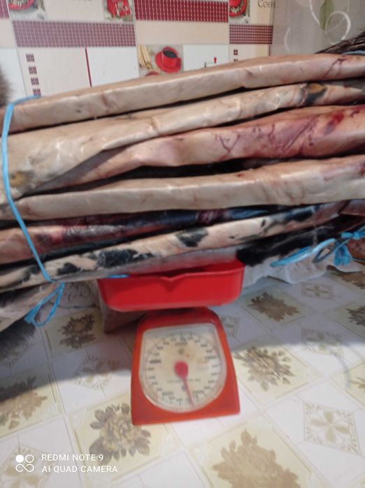 Продам шкурки домашніх кроликів,  сухі.