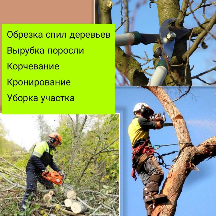 Обрізка спилДерев дробління Уборка участка|Рубка дров будівельніРоботи