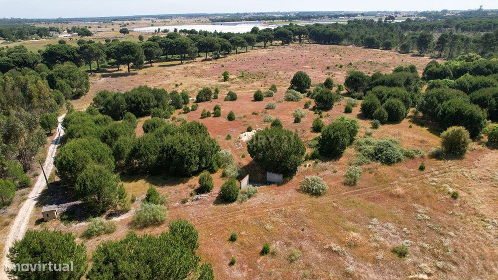 Terreno Rústico c/ 22.500m2 - Sto Isidro de Pegões - Montijo