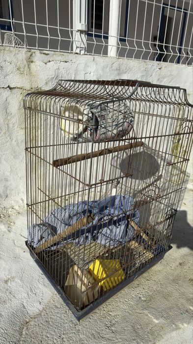 Gaiola aves de porte maior
