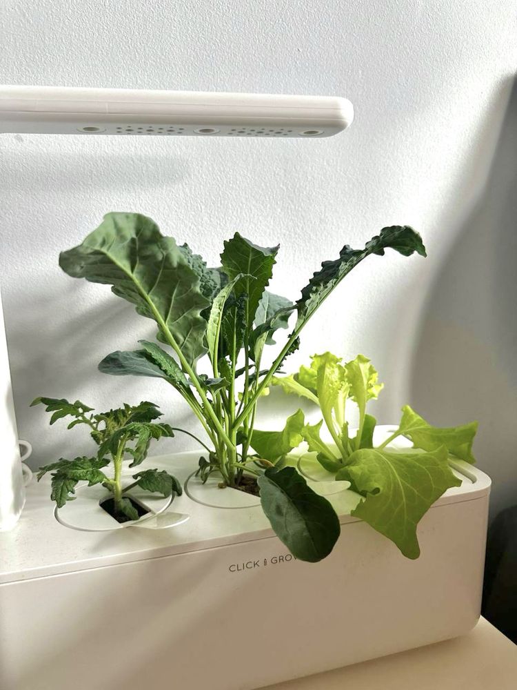 Inteligentna doniczka Smart Garden 3 Click&Grow biała