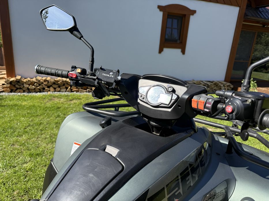 Quad ACCESS Forest 650
