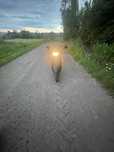 Продам Honda Dio 62