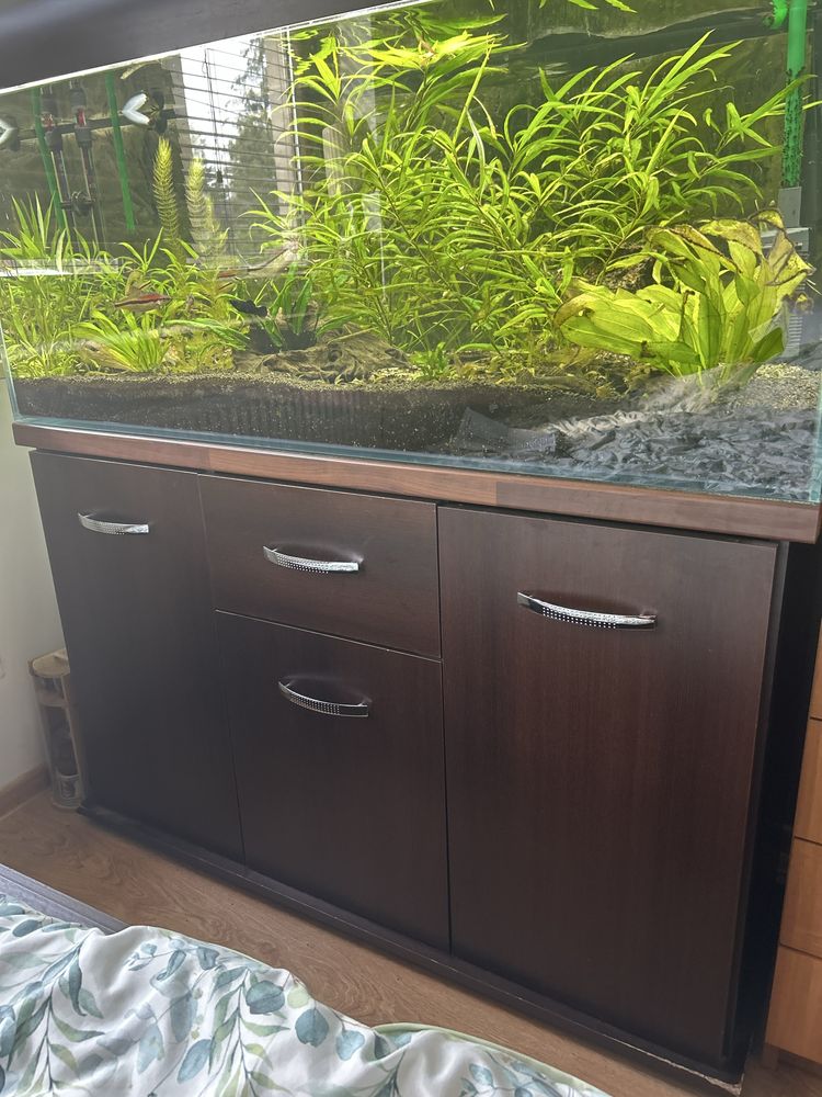 Akwarium 240l diversa
