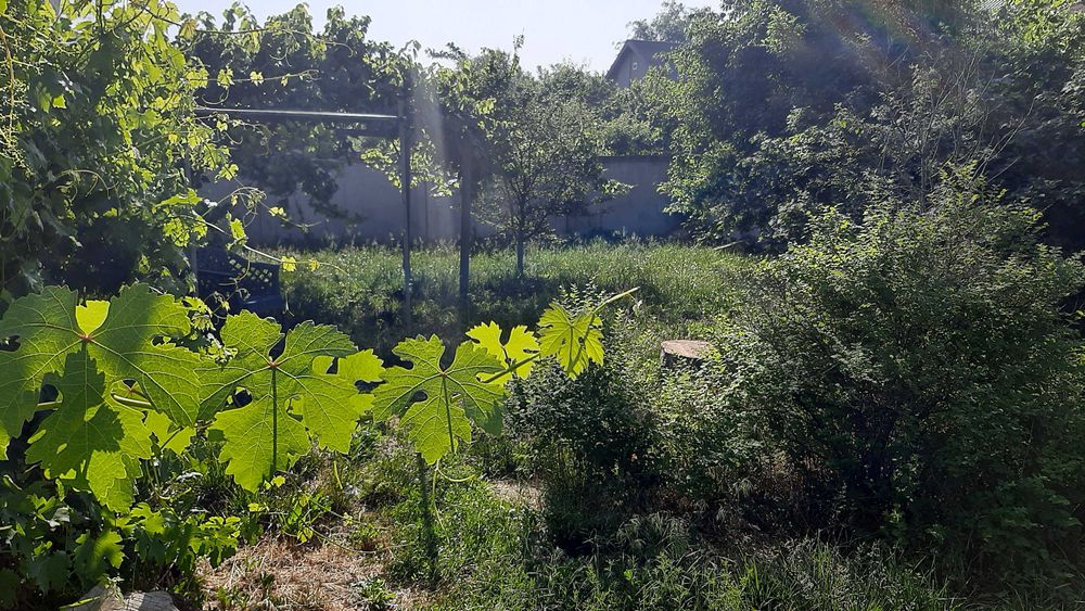 СРОЧНАЯ ПРОДАЖА. Дом 2 этажа, цокольный, Зеленый, Шевченковский