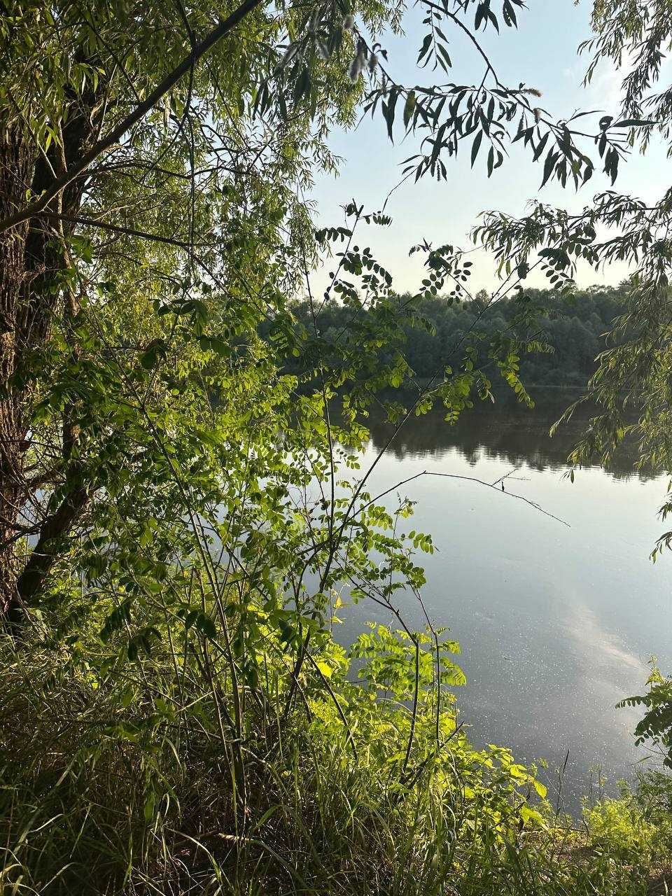 Продам земельну ділянку на першій лінії річки Десна!