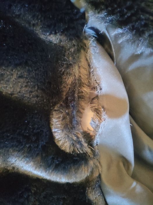 Kispo Zara Beje Tamanho M