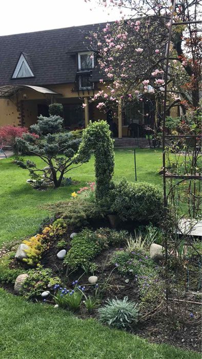 Домік на Новий Рік  на Чайці