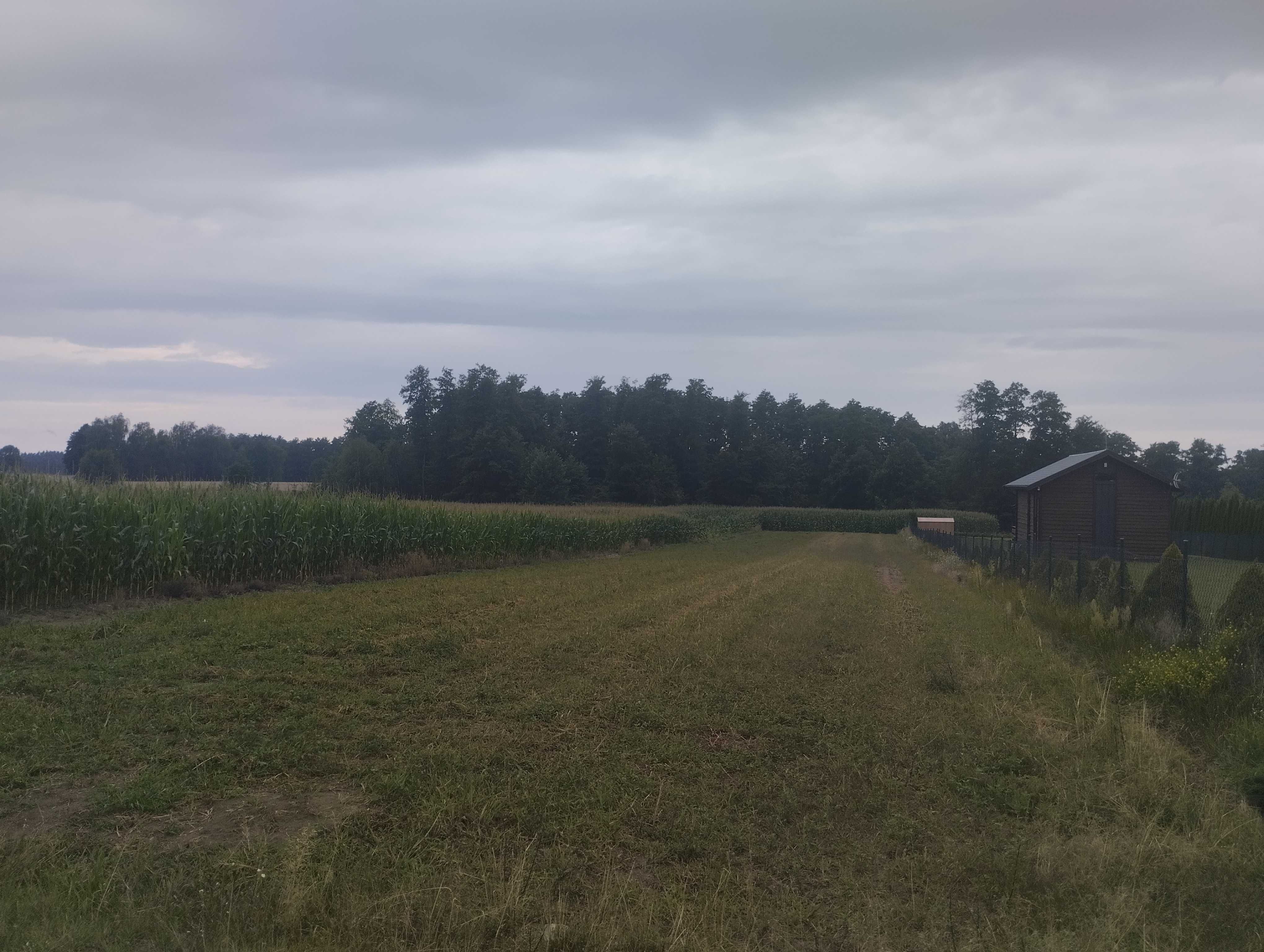 Działka z dostępem do linii brzegowej jeziora Wolskiego w Izdebnie