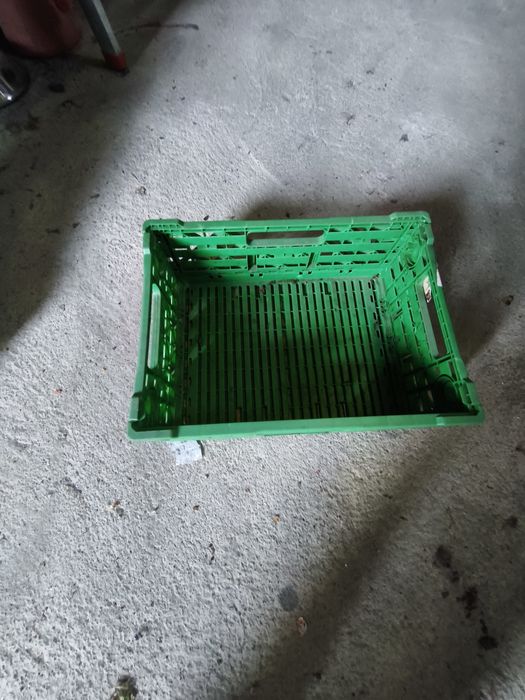 Grade dobrável em pvc