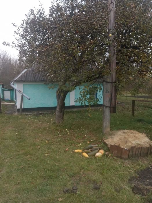 Продам хату з землею с.Тахтаулове