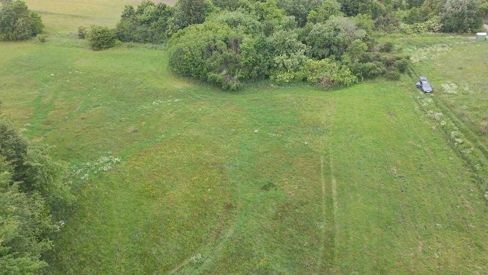 Działka siedliskowa w Wiele 1,72 ha, z wydanymi warunkami zabudowy.