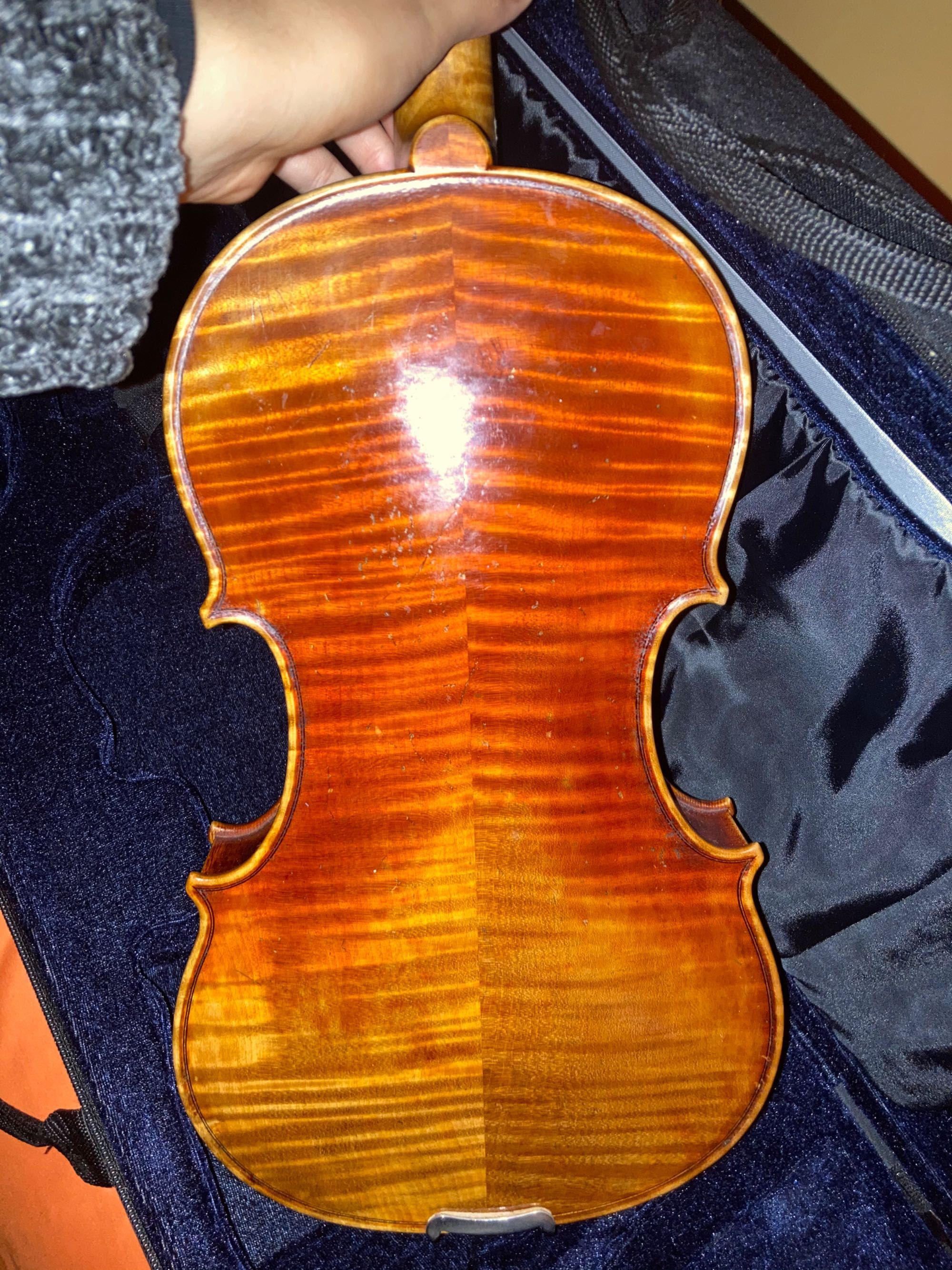 Violino completo