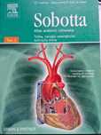 Atlas anatomii człowieka tom II , Sobotta